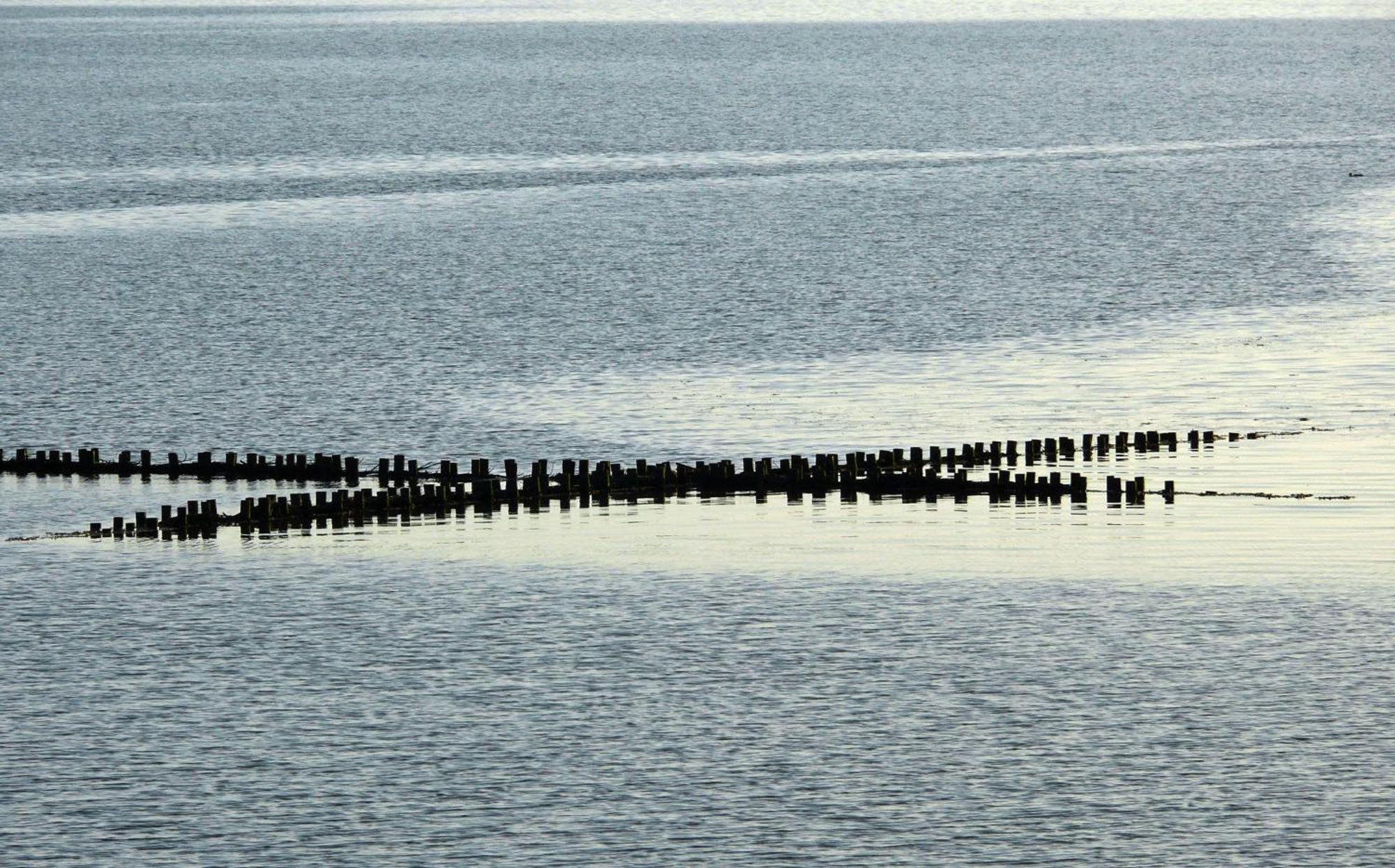 Haus Halligblick, Ferienwohnungen Am Wattenmeer, Whg Langenness Dagebuell Luaran gambar