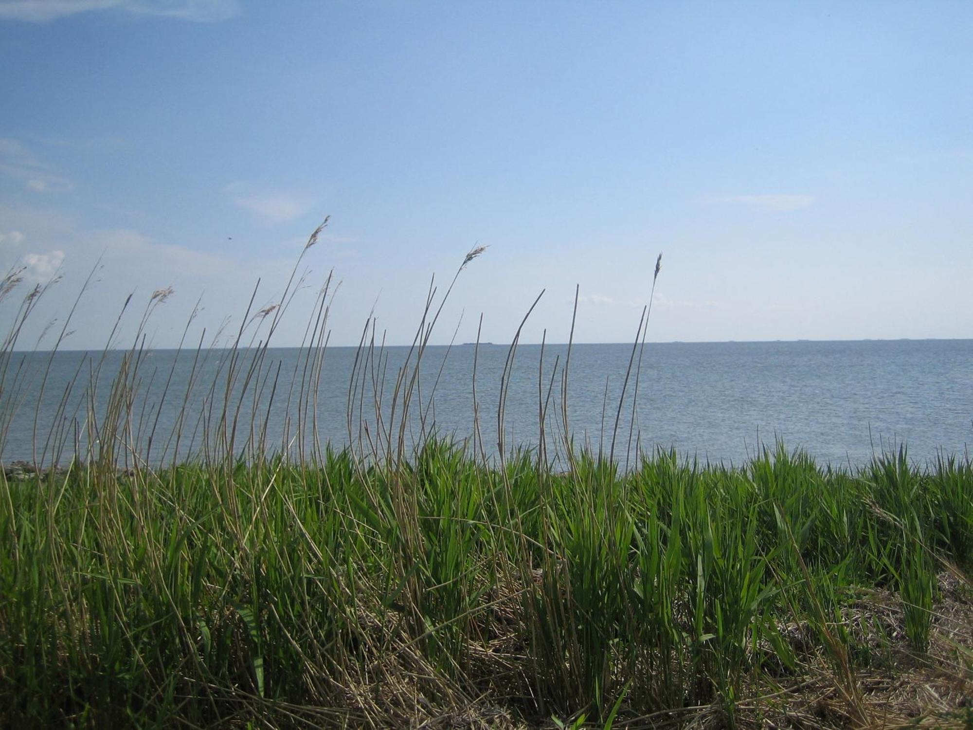 Haus Halligblick, Ferienwohnungen Am Wattenmeer, Whg Langenness Dagebuell Luaran gambar