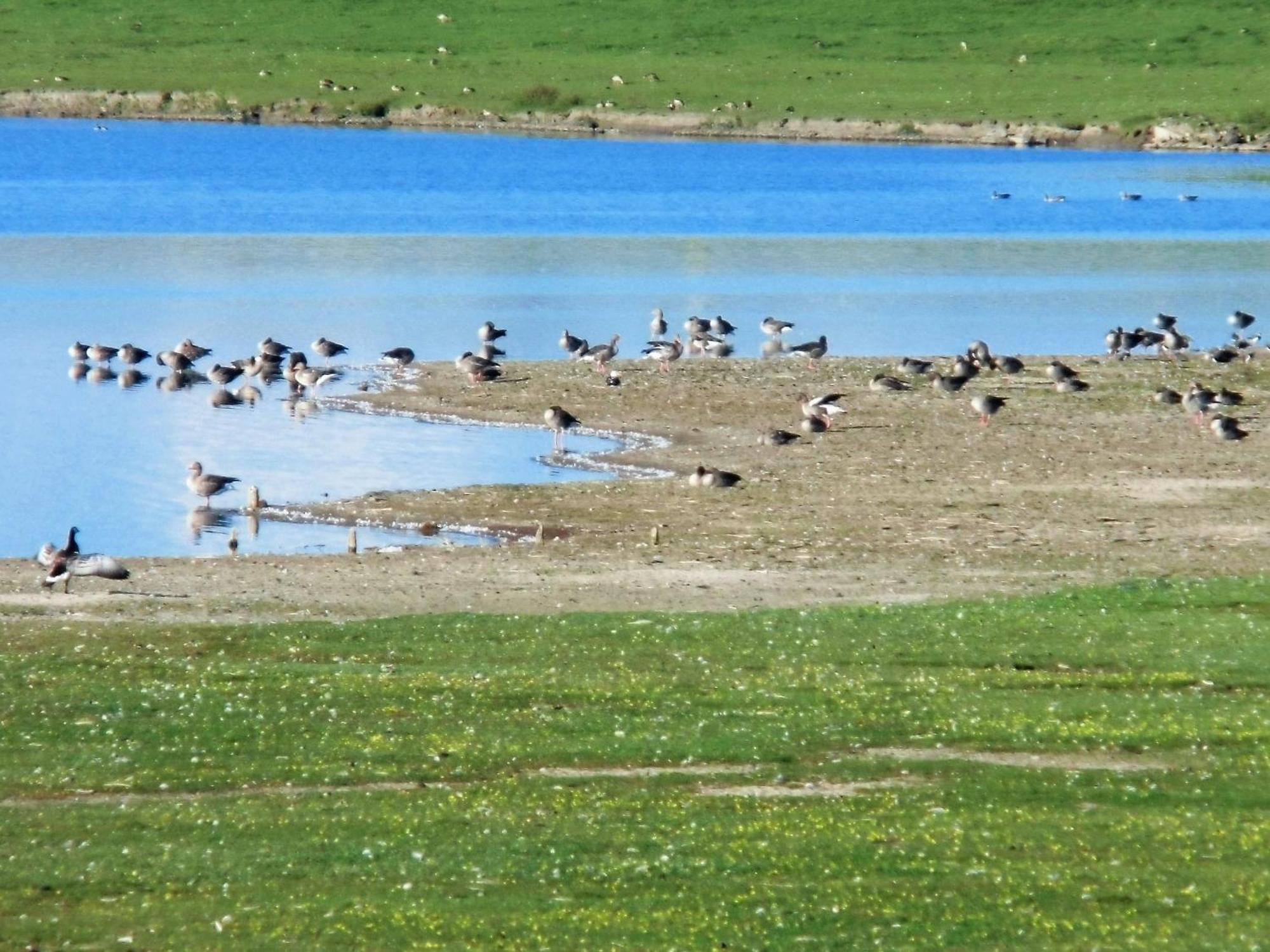 Haus Halligblick, Ferienwohnungen Am Wattenmeer, Whg Langenness Dagebuell Luaran gambar
