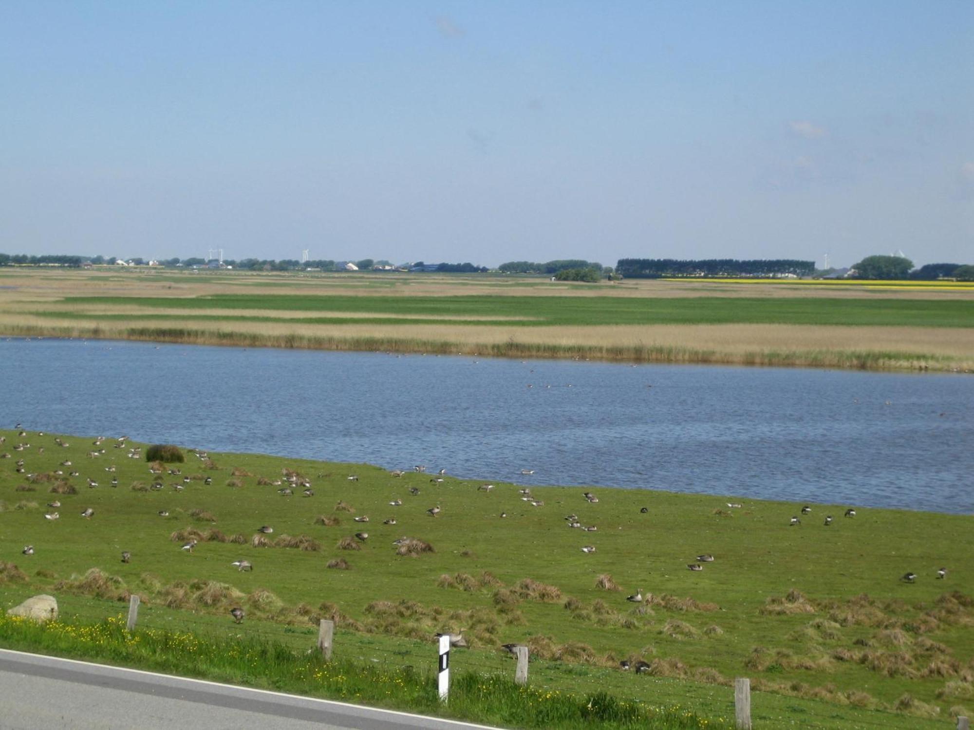 Haus Halligblick, Ferienwohnungen Am Wattenmeer, Whg Langenness Dagebuell Luaran gambar