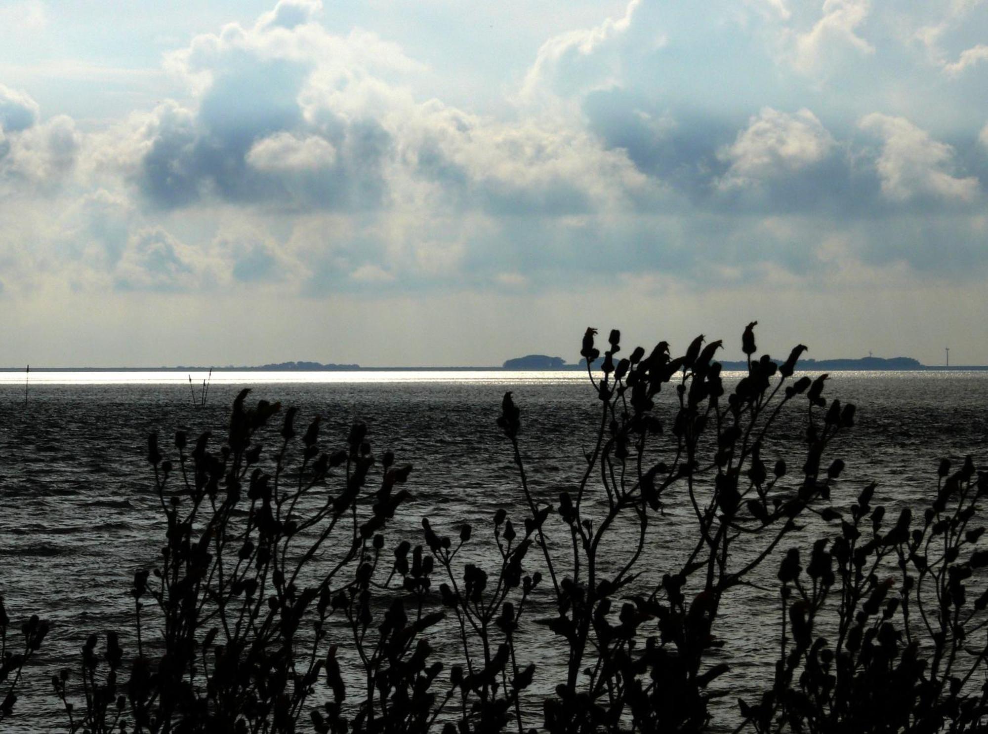 Haus Halligblick, Ferienwohnungen Am Wattenmeer, Whg Langenness Dagebuell Luaran gambar